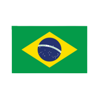 Đt Brazil Logo Update
